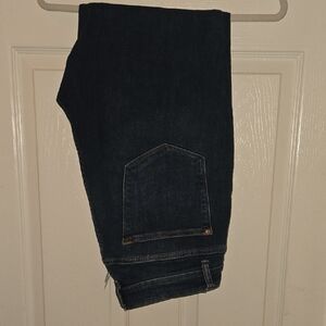 Indigo Blue Skinny Fit Jeans